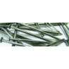 POINTE TPO 100X20-4MM4 5KG