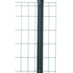 GRILLAGE PANTANET FAMILY VERT 203X25M