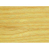 FRENE AM S2 38MM SEC