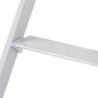 Marchepied double chantier 3 marches