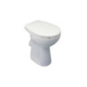 Cuvette sur pied indépendante 48 x 36.5 cm NF ULYSSE blanc