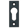 ENTREE CYLINDRE A VIS ABS NOIR