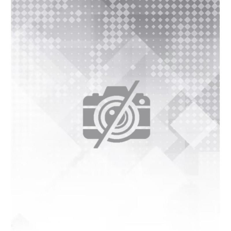 SERRURE MM 1P 25 SCYL+G