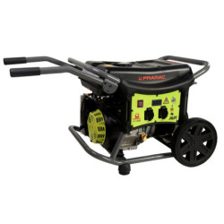 GROUPE ELEC WX3200 MONO 3000W