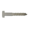 Tirefond inox A2 8x100 - coque x 10