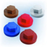 CAPUCHON 6P BLEU PIG(BTE100)