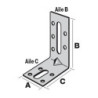 EQUERRE FIXATION RENFORCEE 50-55-30-2