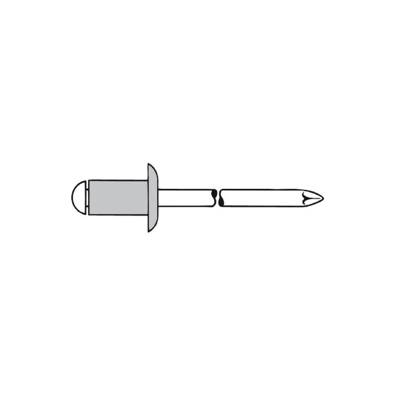 RIVET 4.8X30 TP (BTE100)