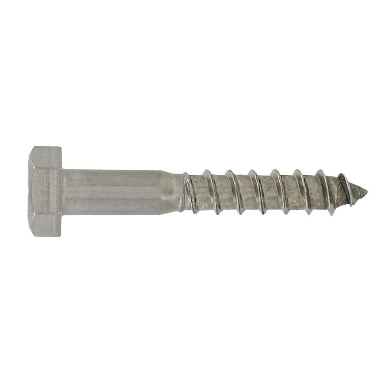Tirefond inox A2 10x80 - coque x 8