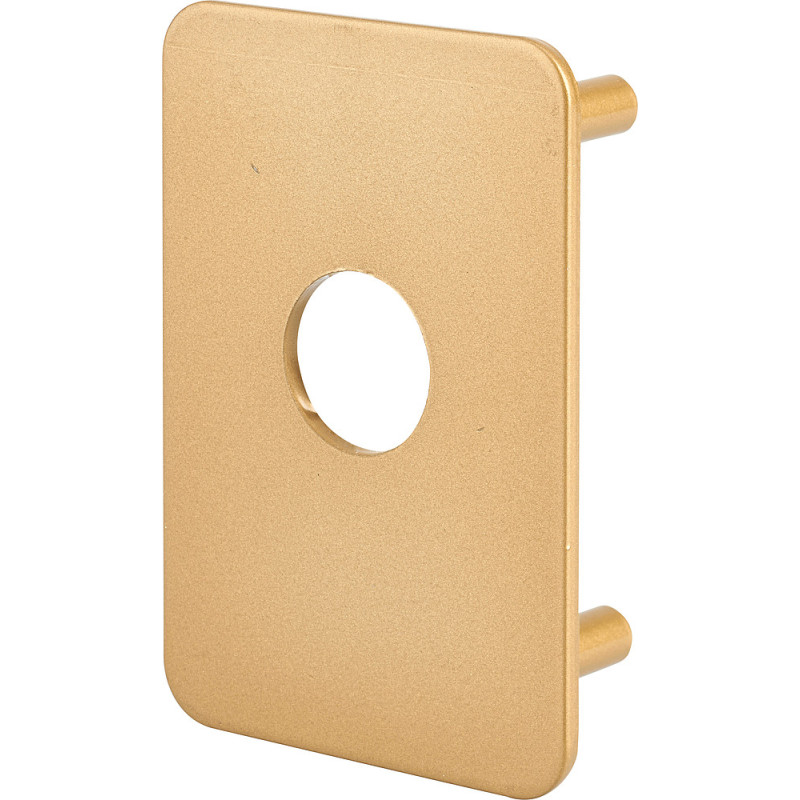 PLAQUE RENFORT VERROU THIRARD