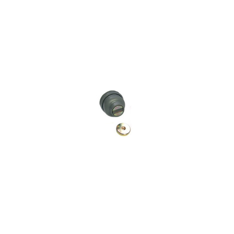 BUTEE PTE MAGNET D54 H43