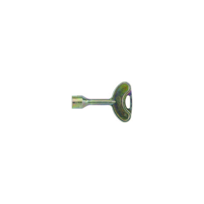 CLE BATTEUSE EDF TRIANG11-4586