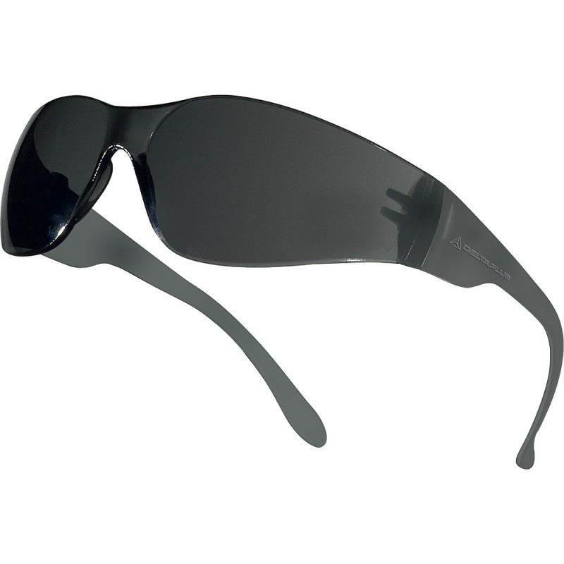 LUNETTE A BRANCHES BRAVA 2 FUMEE