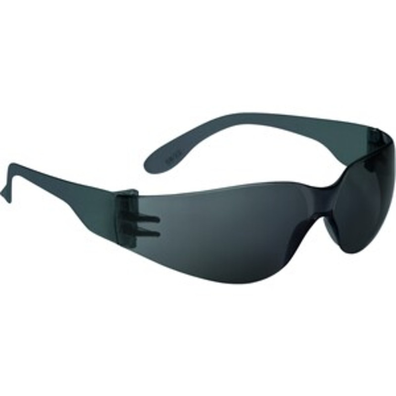 LUNETTE A BRANCHES BRAVA 2 FUMEE