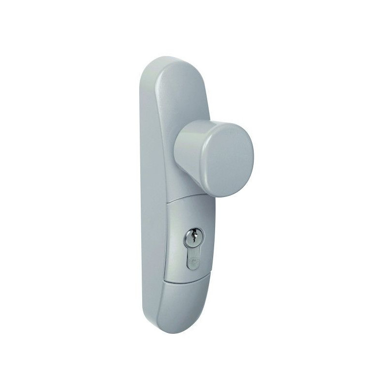 MODULE POUR ANTIPANIQUE JPM EXTERIEUR BOUTON  ARGENT