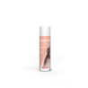 NETTOYANT SEC AEXAMOUSSE 210ML