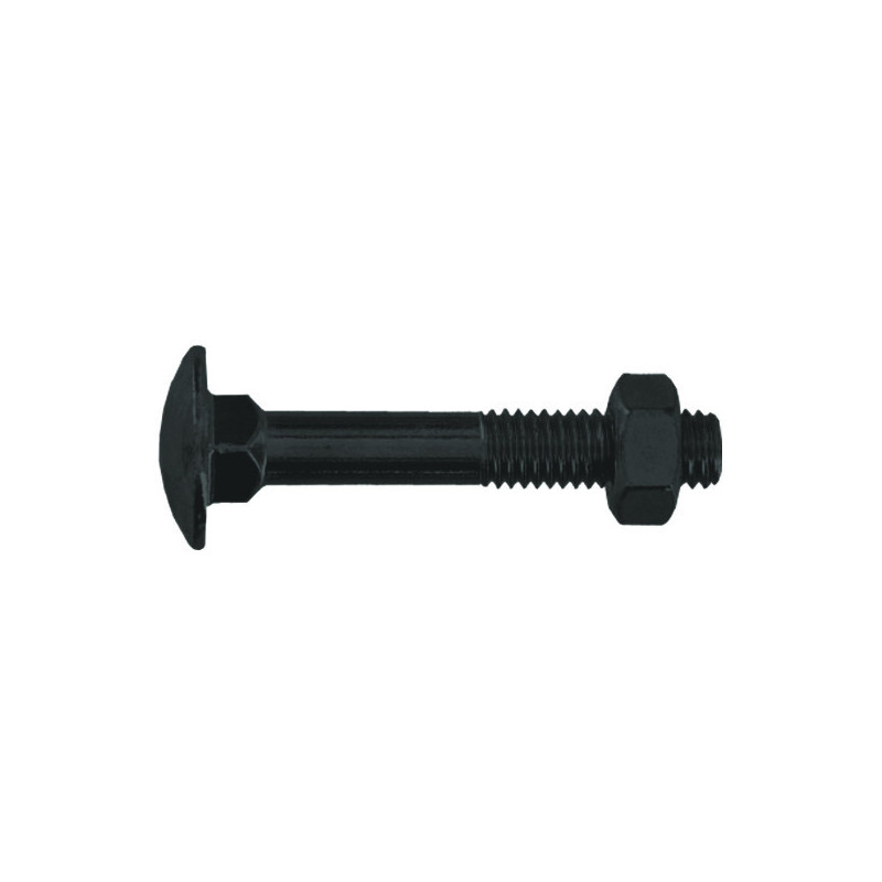 Boulon tête ronde collet carré 10x100 mm Acier Zingué Boite x 50 VYNEX