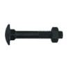 Boulon tête ronde collet carré 10x100 mm Acier Zingué Boite x 50 VYNEX