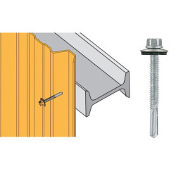 VIS TOL-ACIE6.3X38 T.INOX(100)
