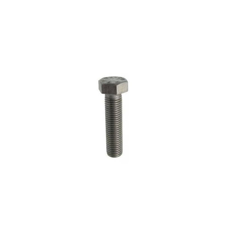 VIS METAL TH INOX 12X100(BT50)