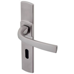 POIGNEE MUZE PLATINE CLE L PLAQUE