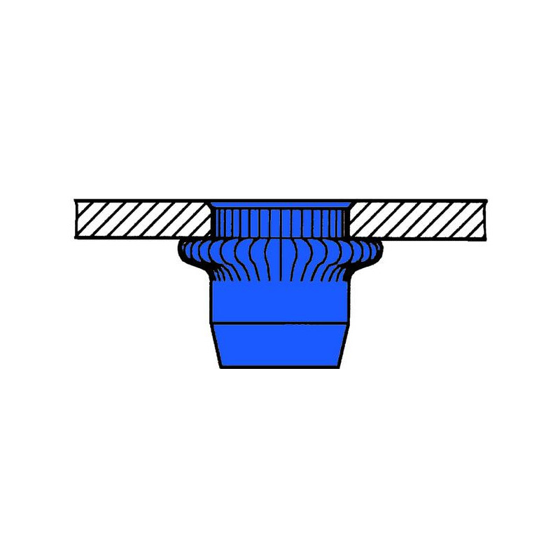 Écrous à sertir acier. cannelés petite tête M5 x 7 x 12.5 (boîte de 250) - 1433712