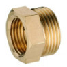 Mamelon mâle-femelle réduit laiton M1-2" F3-8" - 168-2620L1