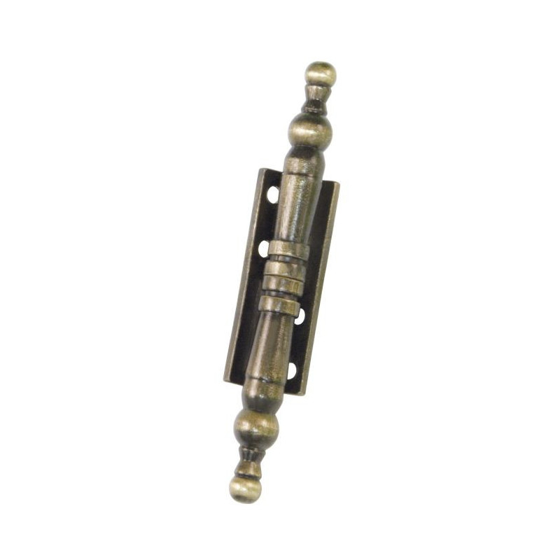 Charnière démontable paumelle en zamak 555 110 x 50 - AMIG 22119