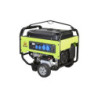 Groupe électrogène essence monophasé 9.3 kW AVR+DE PX10000 - PRAMAC PK852SXB000