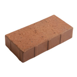 BRIQUE REFRACTAIRE Burgundy 220x109x50mm