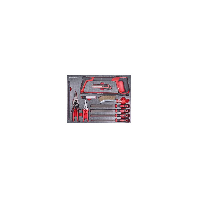 Servante à outils professionnelle équipée de 300 outils - TOOL PROMAC TFTT-300