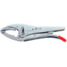 Pince étau becs courts - BRUMATH 16165850100 BR-2100