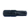 Embouts de vissage ResisTorx TT30x25 (boîte de 5) - R-torx Tamper Torx - BRUMATH 16162228033 BR-3133