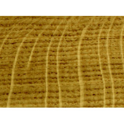 CHENE AM S2 38MM SEC