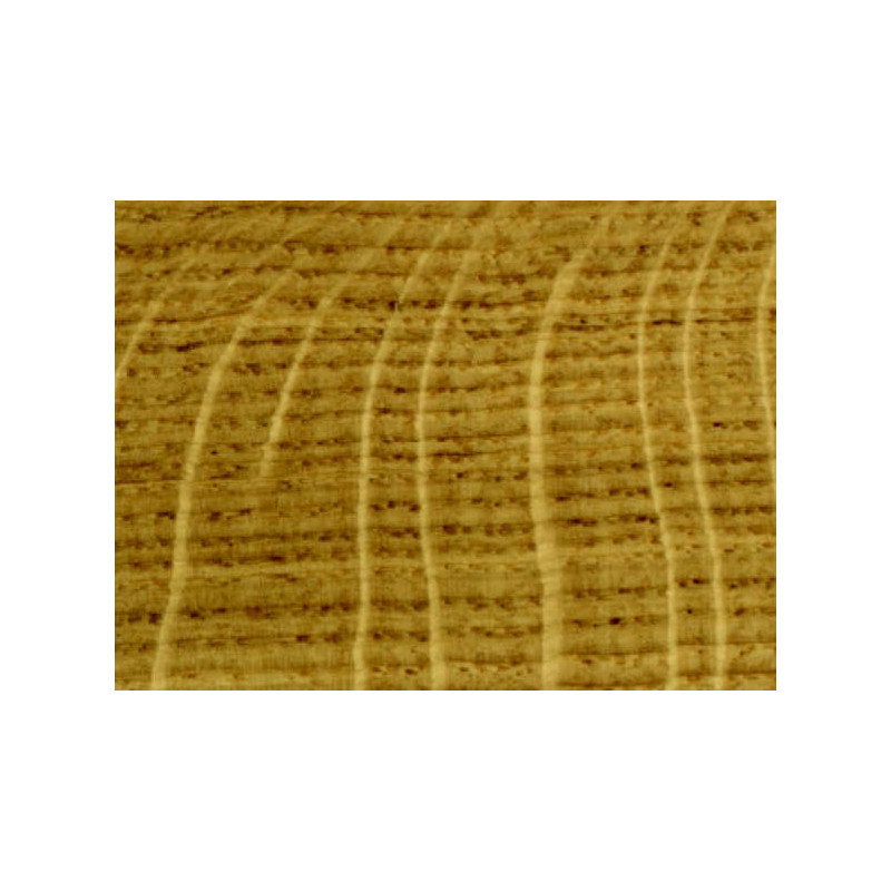 CHENE AM S2 38MM SEC