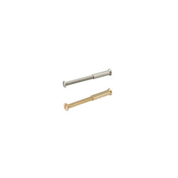 Vis Bezault M4-60 nickelée - ASSA ABLOY 086635