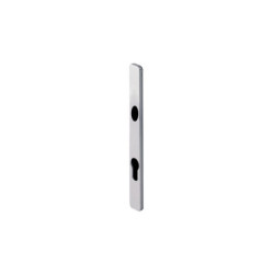 Plaques palières PE24 clé I (jeu de 2) - Entraxe 92 - Argent - ASSA ABLOY 18018