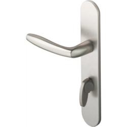 Poignée bec de cane - Condamnation à voyant - Argent - ASSA ABLOY VACHETTE 053924