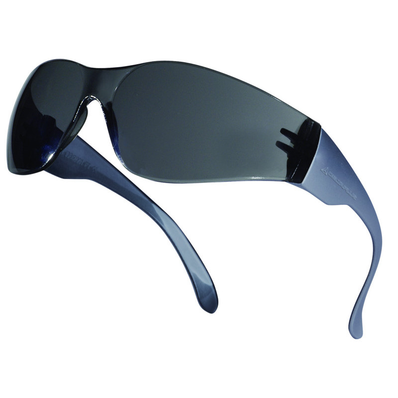 LUNETTE A BRANCHES BRAVA 2 FUMEE