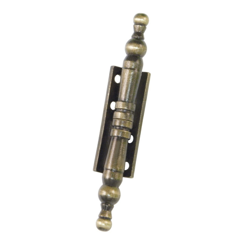 Charnière démontable paumelle en zamak 555 110 x 50 - AMIG 22119