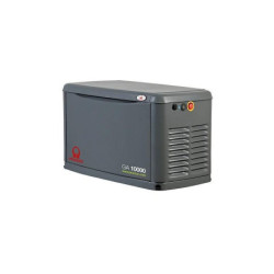 Groupe électrogène au gaz monophasé insonorisé 10 kVA AVR+DE GA10000 - PRAMAC PS103YXM000 + P2FR00209