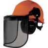Casque forestier 3 complet D+ -  FORE3OR