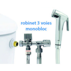 KIT HYGIÈNE-WC ROB 3 VOIES + FLEX + DOUCH + SUPP CHR - 802320