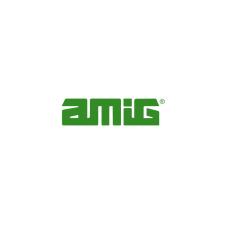 AMIG
