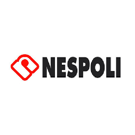 NESPOLI GROUP