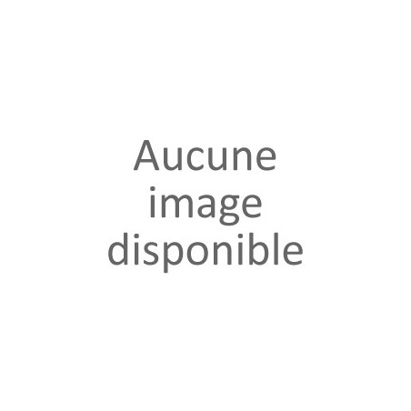 TORBEL FAURE